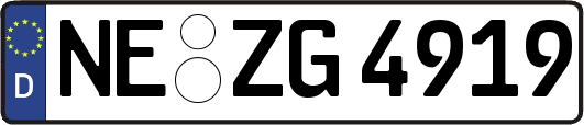 NE-ZG4919