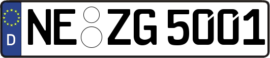 NE-ZG5001