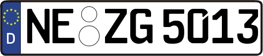 NE-ZG5013