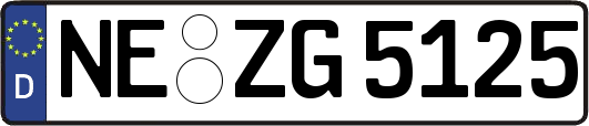 NE-ZG5125