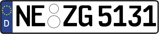 NE-ZG5131