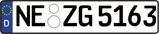 NE-ZG5163