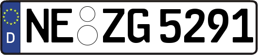 NE-ZG5291