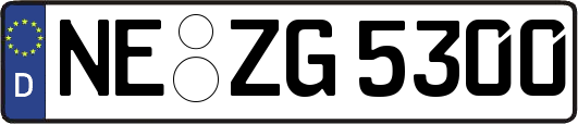 NE-ZG5300