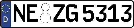 NE-ZG5313
