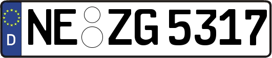 NE-ZG5317