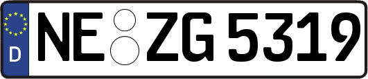 NE-ZG5319