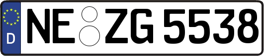 NE-ZG5538
