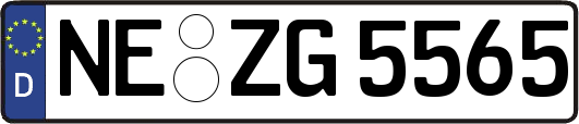 NE-ZG5565