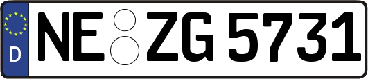 NE-ZG5731