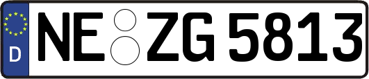 NE-ZG5813