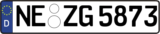 NE-ZG5873