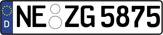 NE-ZG5875