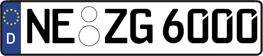NE-ZG6000