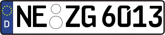 NE-ZG6013
