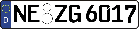 NE-ZG6017