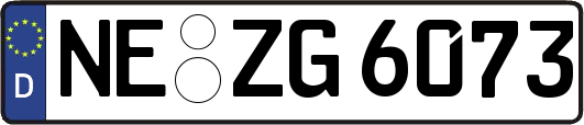 NE-ZG6073