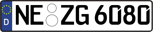 NE-ZG6080