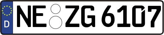 NE-ZG6107