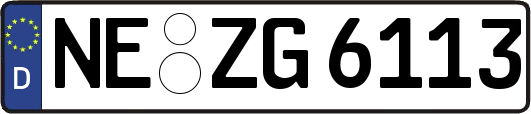NE-ZG6113