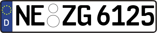 NE-ZG6125