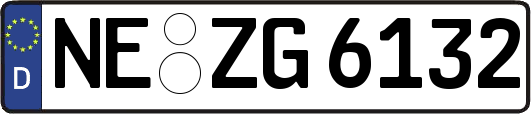 NE-ZG6132