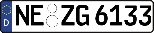 NE-ZG6133