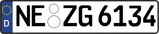 NE-ZG6134