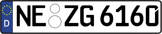 NE-ZG6160