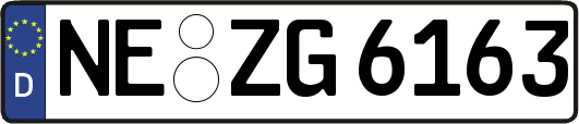 NE-ZG6163