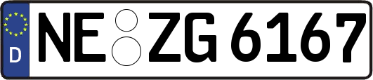 NE-ZG6167