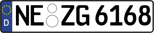 NE-ZG6168