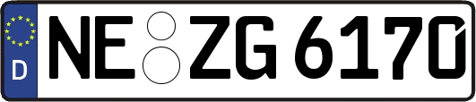 NE-ZG6170
