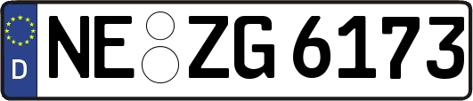 NE-ZG6173