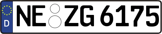 NE-ZG6175