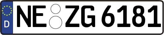 NE-ZG6181