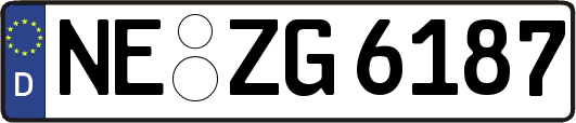 NE-ZG6187
