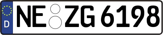 NE-ZG6198