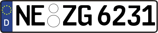 NE-ZG6231
