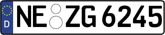 NE-ZG6245