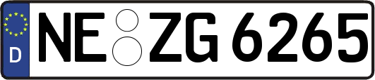 NE-ZG6265