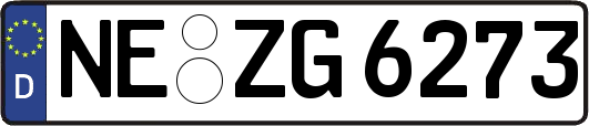 NE-ZG6273