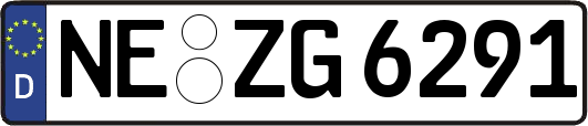 NE-ZG6291