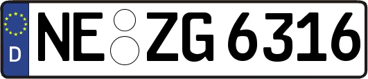 NE-ZG6316