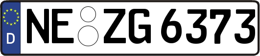 NE-ZG6373