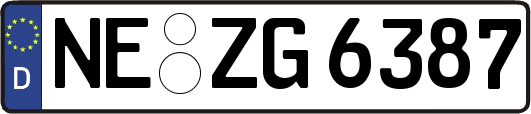 NE-ZG6387