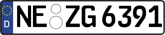 NE-ZG6391