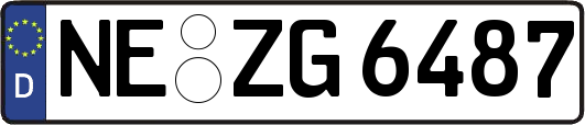NE-ZG6487