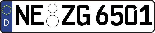 NE-ZG6501