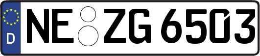 NE-ZG6503